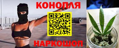 СК Дубна