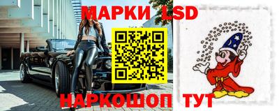 СК Дубна