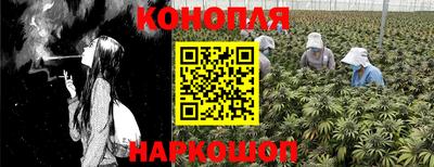 СК Дубна