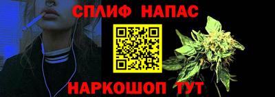 СК Дубна